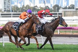 Stablemates in epic battle to Remember